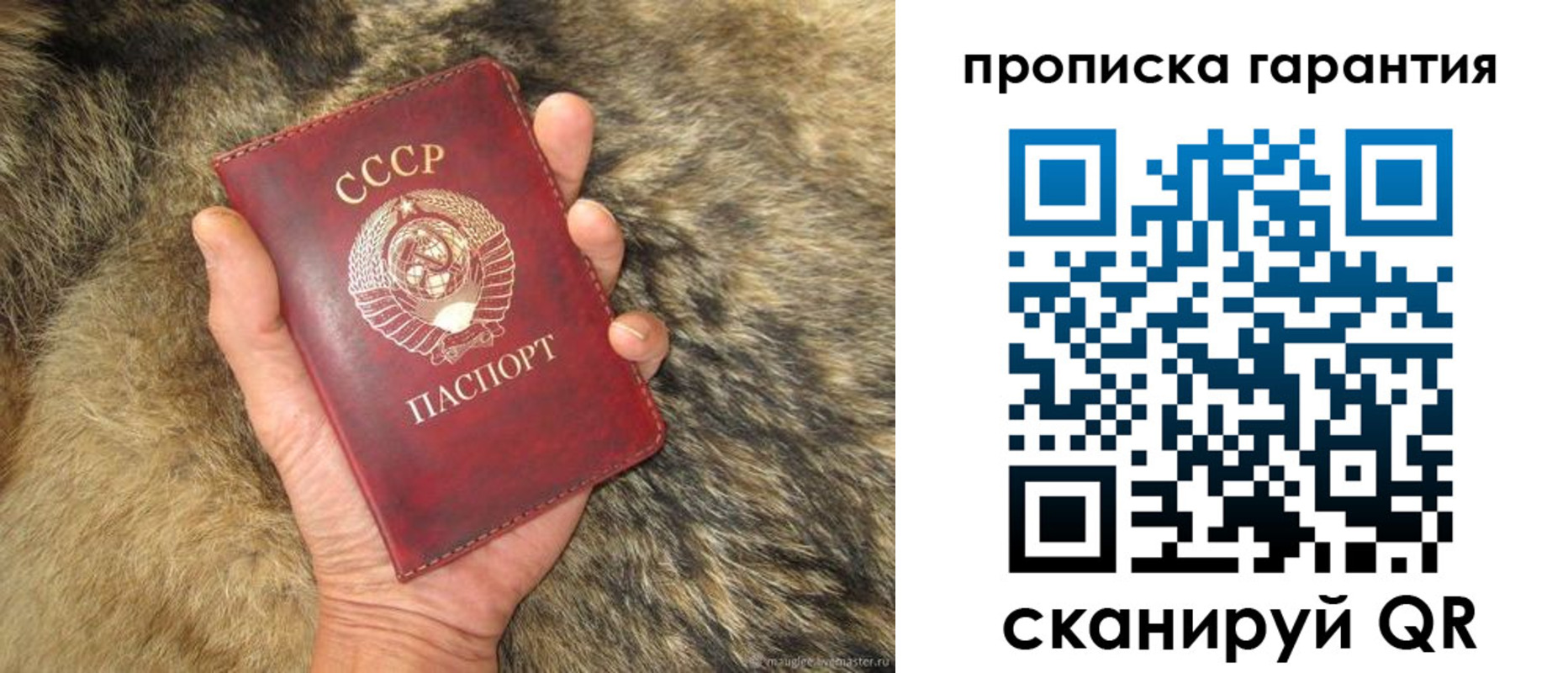 временная регистрация гарантия в Киришах